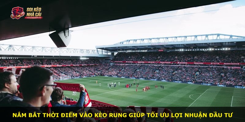 Nắm bắt thời điểm vào kèo rung giúp tối ưu lợi nhuận đầu tư