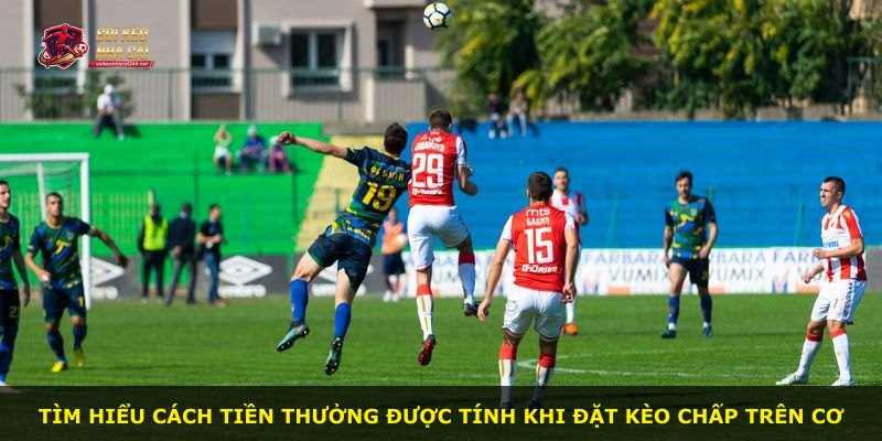 Tìm hiểu cách tiền thưởng được tính khi đặt kèo chấp trên cơ