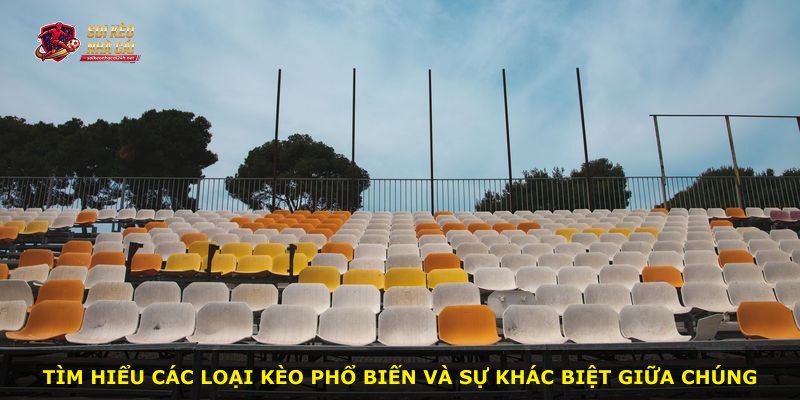 Tìm hiểu các loại kèo phổ biến và sự khác biệt giữa chúng