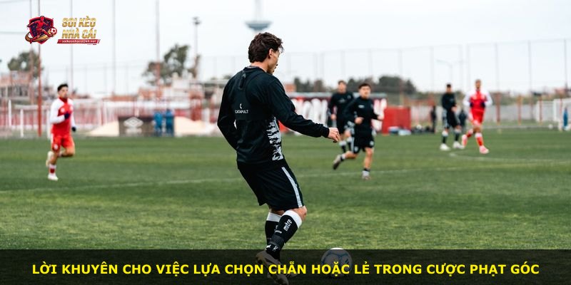 Lời khuyên cho việc lựa chọn chẵn hoặc lẻ trong cược phạt góc