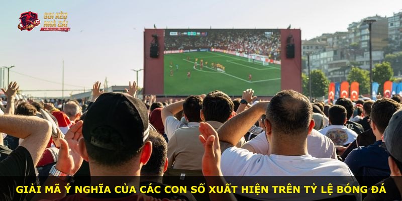 Giải mã ý nghĩa của các con số xuất hiện trên tỷ lệ bóng đá