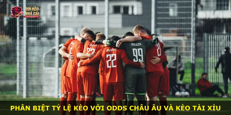 Phân biệt tỷ lệ kèo với odds châu Âu và kèo tài xỉu